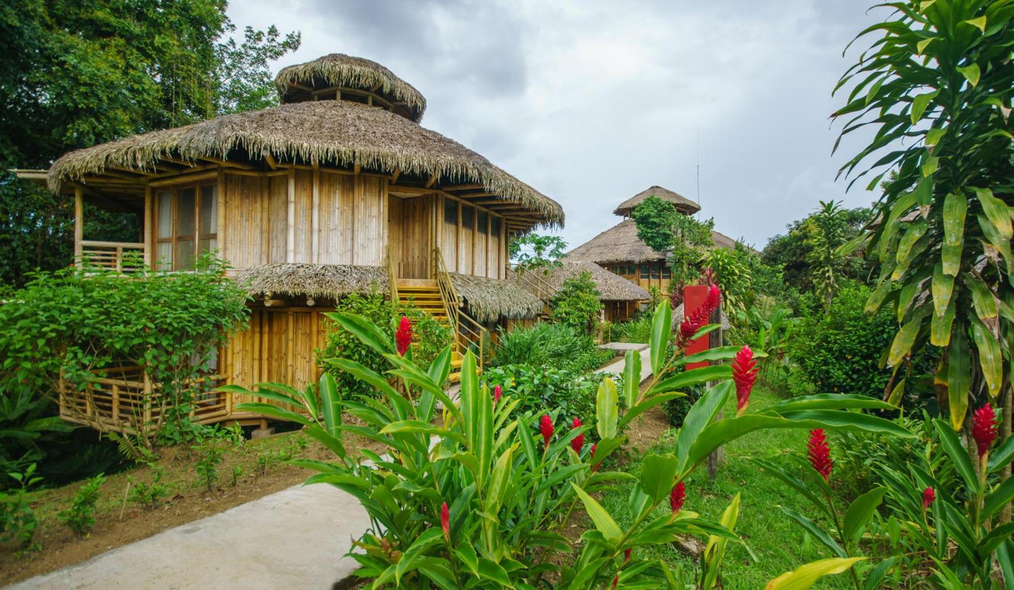 La Selva Eco-Lodge & Retreat Providencia Extérieur photo