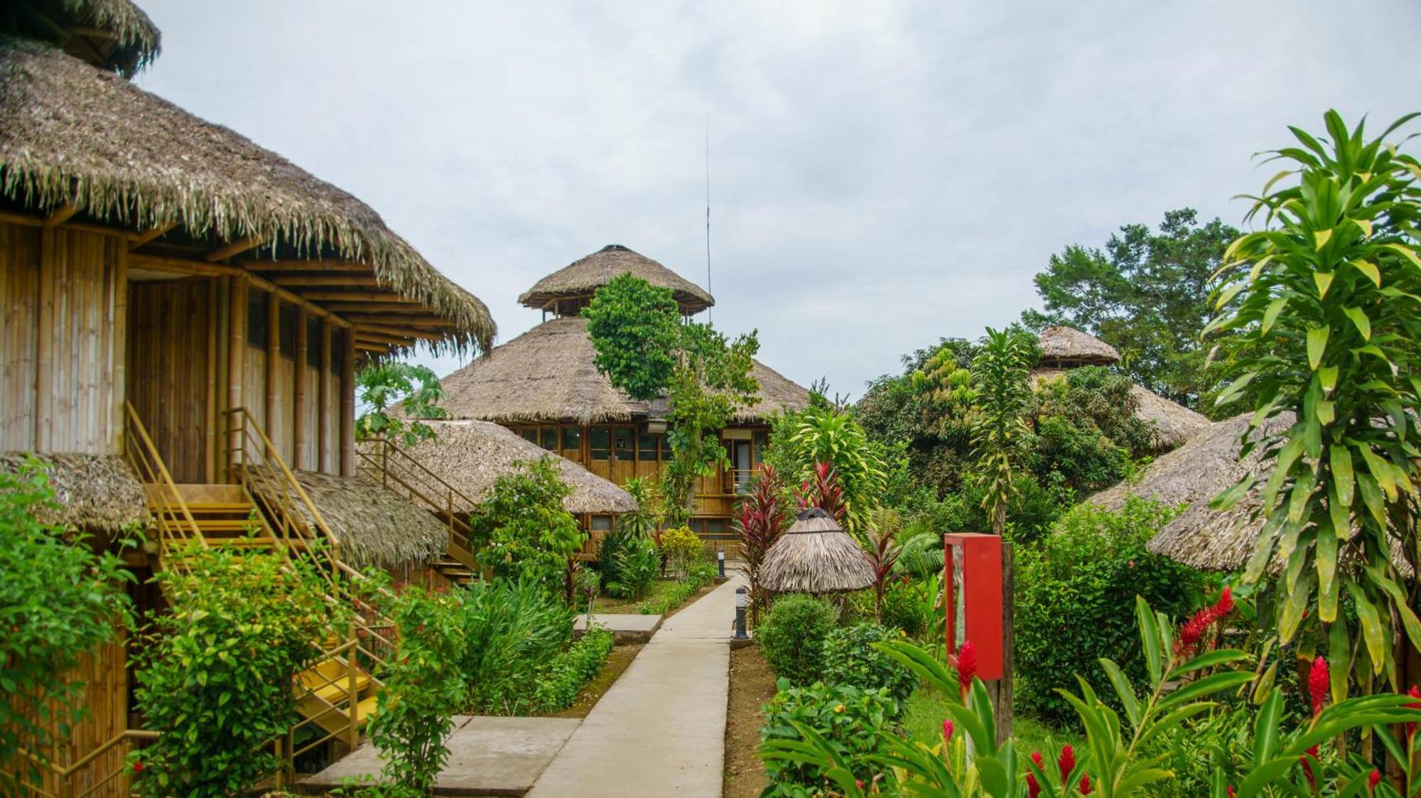 La Selva Eco-Lodge & Retreat Providencia Extérieur photo