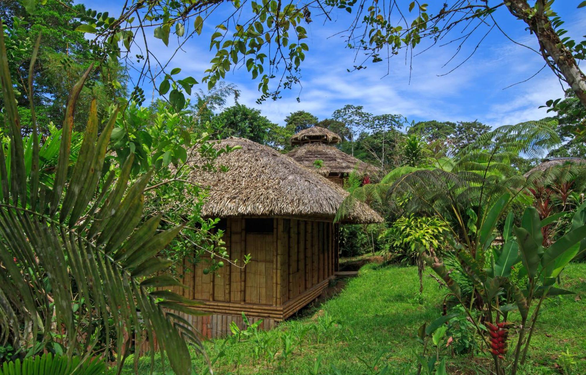La Selva Eco-Lodge & Retreat Providencia Extérieur photo