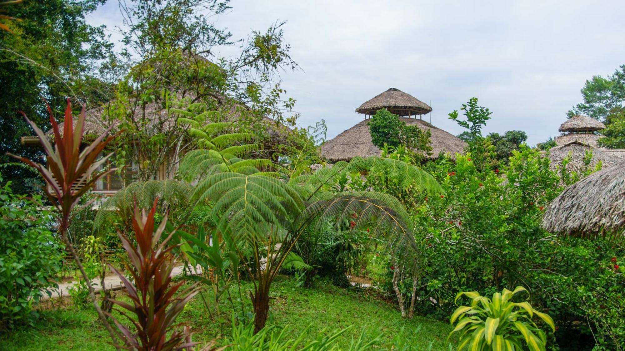 La Selva Eco-Lodge & Retreat Providencia Extérieur photo