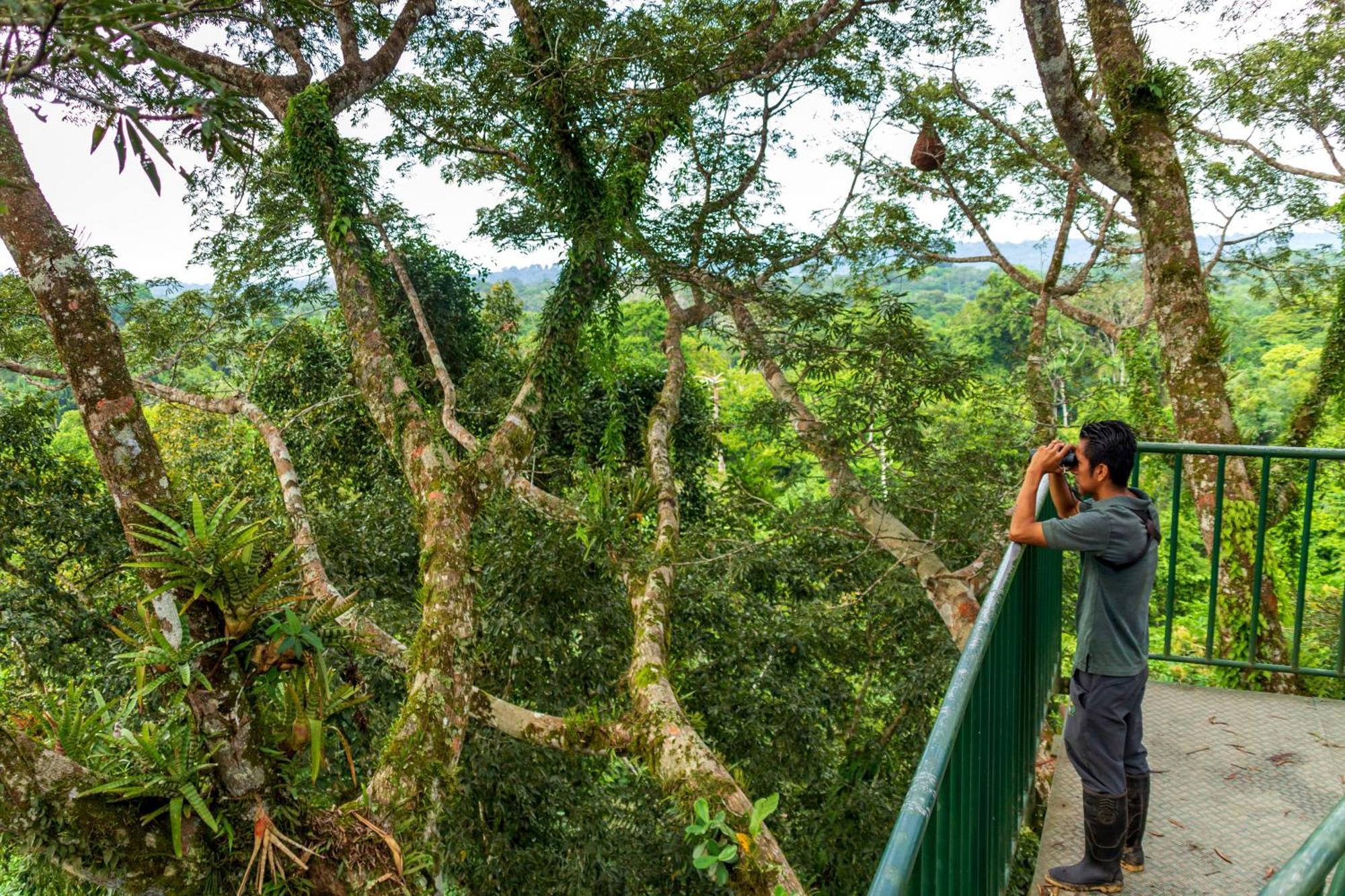 La Selva Eco-Lodge & Retreat Providencia Extérieur photo