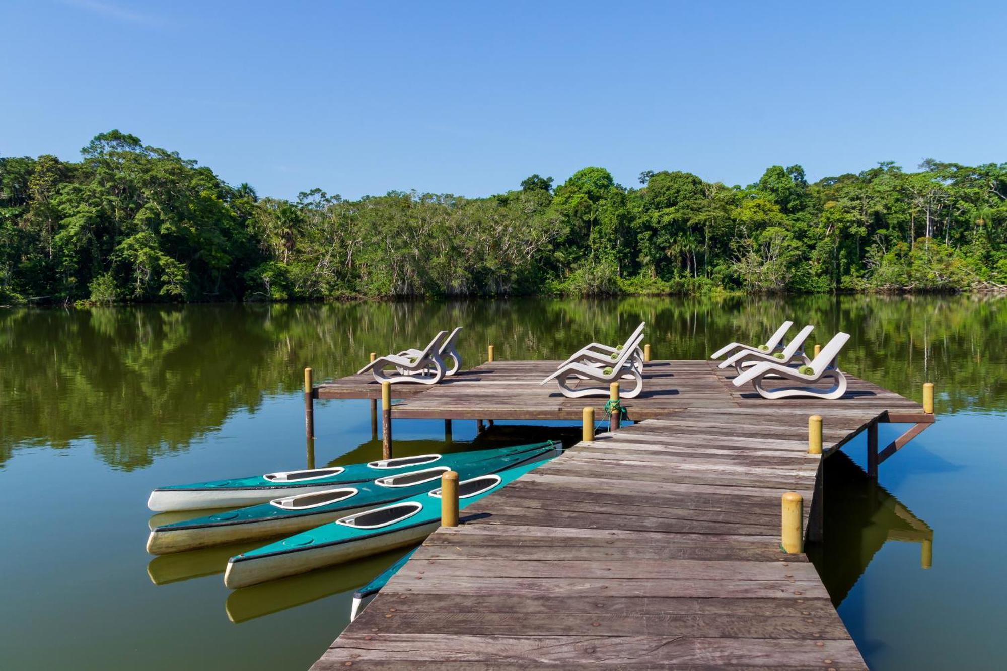 La Selva Eco-Lodge & Retreat Providencia Extérieur photo